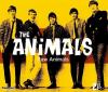The Animals - Raw Animals - (CD)