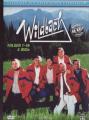 WILDBACH 1 (1-16) - (DVD)