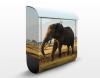 Design Briefkasten Elefanten vor dem Kilimanjaro i