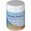 Avena Sativa