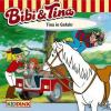 Bibi Und Tina Folge 07: T...