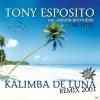 Tony Esposito - Kalimba D