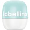 Labellino Fresh Mint