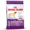 Royal Canin Giant Junior Active - Sparpaket 2 x 15