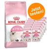 Royal Canin 400 g Kitten Trockenfutter + 12 x 85 g