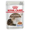 Royal Canin Ageing +12 in