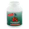 Cranberry Lutschtabletten