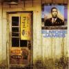 Elmore James - The Best O...