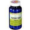 Gall Pharma Fucus 2000 Ka