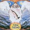 Steve Hillage Fish Rising...