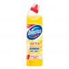 Domestos WC Gel Aktiv Kraft Reiniger Citrus 1.72 E