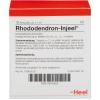 Rhododendron-Injeel® Ampu...