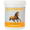 NutriLabs Glukosaminol eq