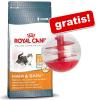 10 kg Royal Canin + Katzenspielzeug Snackball grat