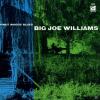 Big Joe Williams - Piney ...