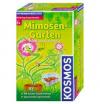 KOSMOS Mimosen-Garten Mit