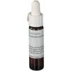 Calcium carbonicum LM6