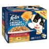 Felix ´´Crunchy Crumbles´´ 10 x 100 g Pouches + 40