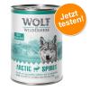 6 x 400 g Wolf of Wilderness zum Probierpreis - Ju