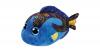 Fisch Aqua blau, 24 cm