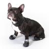 Hundeschuhe S & P Boots -