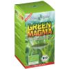 Green Magma® Gerstengrasextrakt Pulver