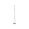 Apple Lightning auf USB K