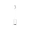 Apple Lightning auf USB K...