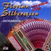 Florian Silbereisen - Ins