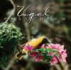 VARIOUS - Vogel Preludium - (CD)