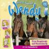 Wendy - Eine Boygroup auf...