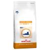 Royal Canin Senior Consult Stage 2 - Vet Care Nutr