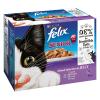 Felix ´´Klassiker´´ Senior Pouches In Gelee - 24 x