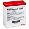 Musculus suis-Injeel® Ampullen