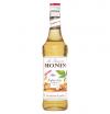 MONIN Praliné-Nuss Sirup 