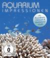 Aquarium Impressions - (B