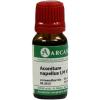 Aconitum Napellus LM 6 Di...