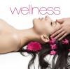 Various - Wellness - (CD)