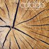 Cataldo - the way life wo...