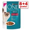 8 + 4 gratis! 12 x 85 g Purina ONE - Coat and Hair