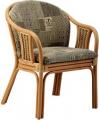 Cats Collection Rattan Es