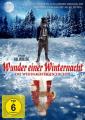 Wunder einer Winternacht 