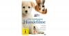 DVD Die schönsten Hundefilme (6 Filme in einer Box