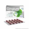 Gingium® 40 mg