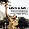 Marvin Gaye - Icon - (CD)