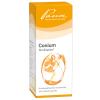 Conium Similiaplex® Tropf...