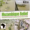 J Mucavele, VARIOUS - Mozambique Relief - (CD)