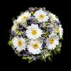 Morgenluft - Fleurop Blumen