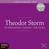 Klassiker to go – Theodor Storm - 6 CD - Literatur