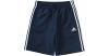 Essentials Trainingsshort...
